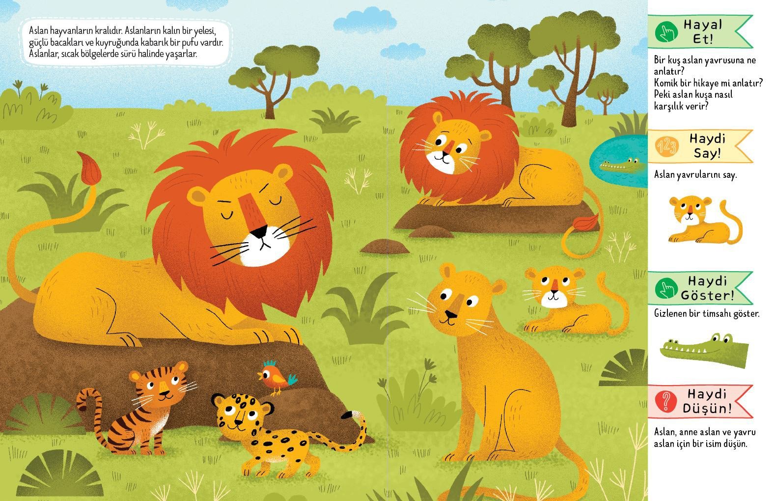 Eğlenceli Öğretici Aktivite Kitabı - Doğal Yaşamda Safari